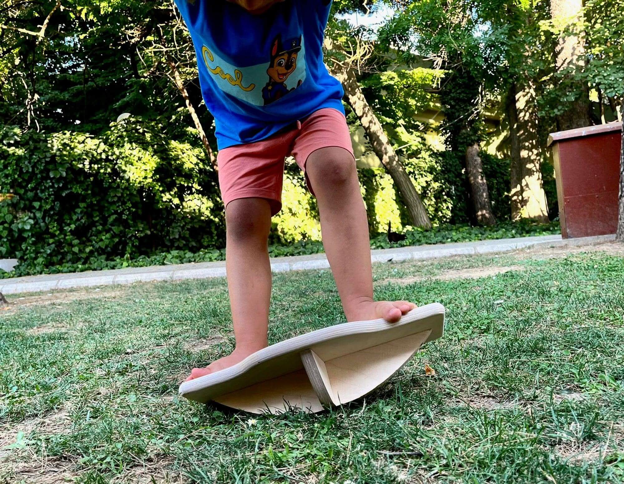 Maze Wooden Balance Board-1