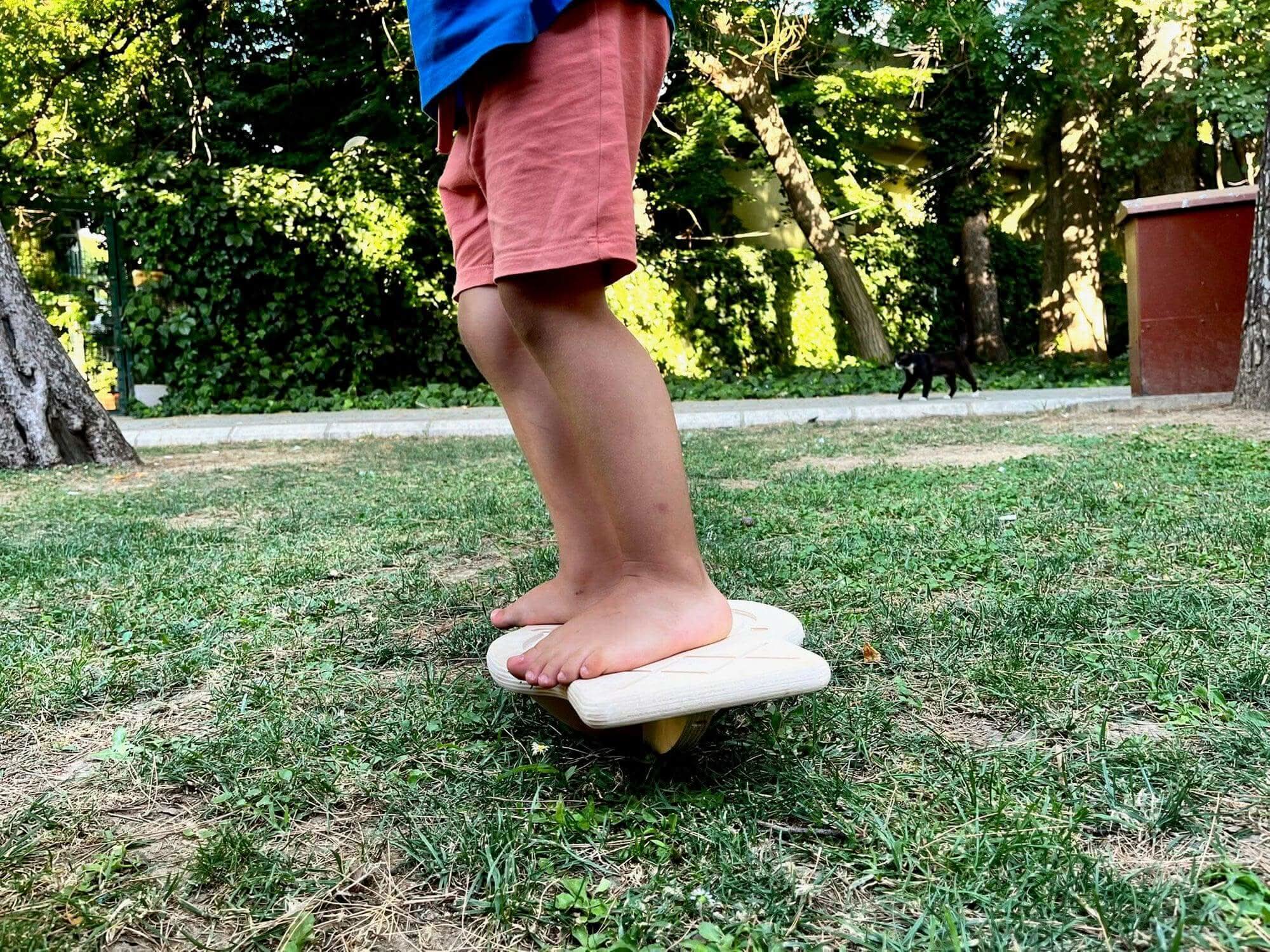 Maze Wooden Balance Board-2